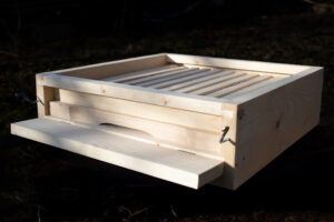 Varroa dno