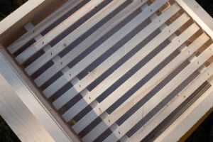 Varroa dno detail 2
