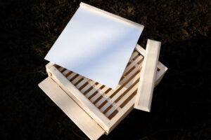 Varroa dno celek
